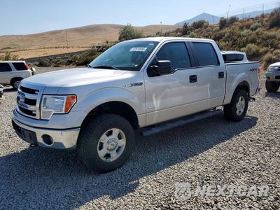 2013 FORD F150 SUPERCREW 1FTFW1ET5DFA06493 - główne zdjęcie licytacji z USA - miniatura