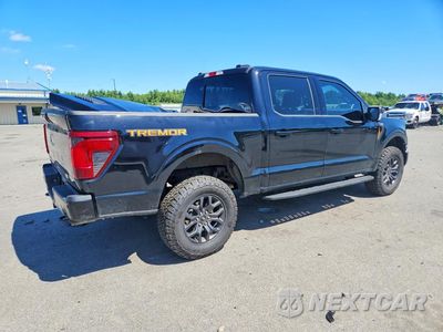 Trzecie zdjęcie samochodu z tyłu: 2025 FORD F150 TREMOR VIN:1FTFW4L58SFB56939 - miniatura