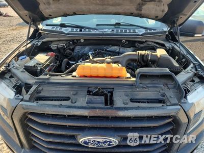 Zdjęcie 12 z 13 samochodu: 2016 FORD F150 SUPERCREW VIN:1FTEW1EP1GKD76026 - miniatura