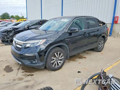 2021 HONDA PILOT EXL 5FNYF6H5XMB077860 - główne zdjęcie licytacji z USA - miniatura