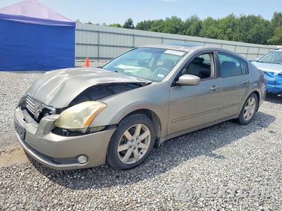 2006 NISSAN MAXIMA 3.5 SE 1N4BA41E86C848857 - główne zdjęcie licytacji z USA - miniatura