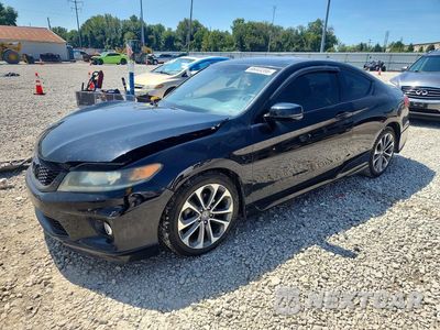 2013 HONDA ACCORD EXL 1HGCT2A88DA005596 - główne zdjęcie licytacji z USA - miniatura