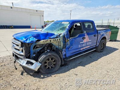 2017 FORD F150 SUPERCREW 1FTEW1EF8HKD28466 - główne zdjęcie licytacji z USA - miniatura
