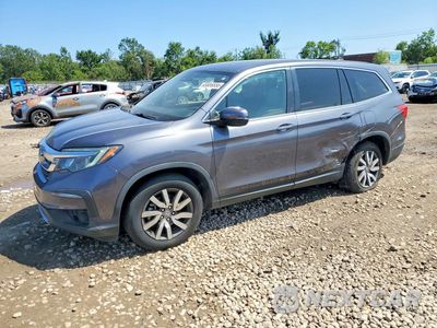 2020 HONDA PILOT EXL 5FNYF6H51LB039450 - główne zdjęcie licytacji z USA - miniatura