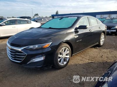 2019 CHEVROLET MALIBU LT 1G1ZD5ST4KF167762 - główne zdjęcie licytacji z USA - miniatura