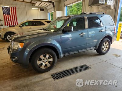 2011 FORD ESCAPE LIMITED 1FMCU9EG5BKB46411 - główne zdjęcie licytacji z USA - miniatura