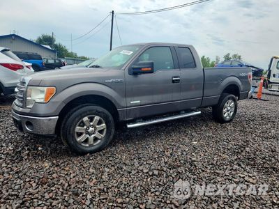 2013 FORD F150 SUPER CAB 1FTFX1ET9DFD96334 - główne zdjęcie licytacji z USA - miniatura
