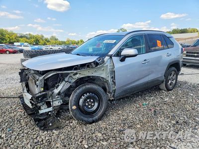 2024 TOYOTA RAV4 XLE 2T3W1RFV9RW332378 - główne zdjęcie licytacji z USA - miniatura