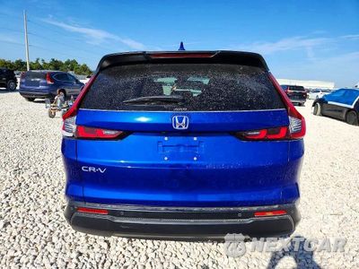 Zdjęcie 6 z 13 samochodu: 2024 HONDA CR-V EXL VIN:2HKRS4H78RH450604 - miniatura