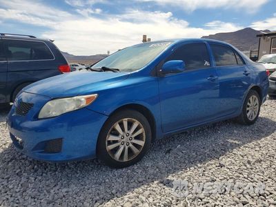 2009 TOYOTA COROLLA LE 1NXBU40E99Z019874 - główne zdjęcie licytacji z USA - miniatura