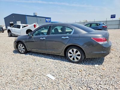 Drugie zdjęcie samochodu z przodu: 2008 HONDA ACCORD EX VIN:1HGCP36728A029280 - miniatura