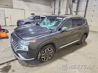 2023 HYUNDAI SANTA FE LIMITED 5NMS4DAL8PH534533 - główne zdjęcie licytacji z USA - miniatura
