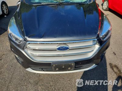 Zdjęcie 12 z 13 samochodu: 2019 FORD ESCAPE SE VIN:1FMCU9GD2KUA10079 - miniatura
