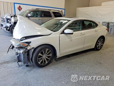 2016 ACURA TLX 19UUB1F32GA004639 - główne zdjęcie licytacji z USA - miniatura