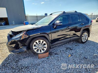 2025 TOYOTA RAV4 LIMITED 2T3N1RFV2SW610023 - główne zdjęcie licytacji z USA - miniatura