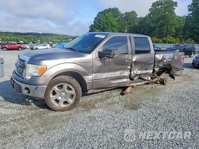 2013 FORD F150 SUPERCREW 1FTFW1EF1DFB39441 - główne zdjęcie licytacji z USA - miniatura