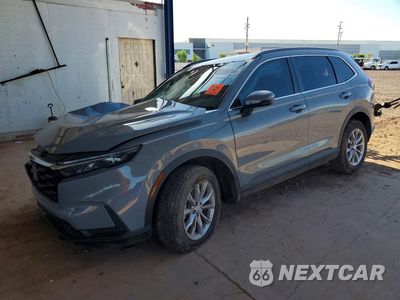 2024 HONDA CR-V EX 2HKRS4H42RH449549 - główne zdjęcie licytacji z USA - miniatura
