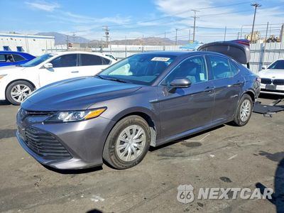 2019 TOYOTA CAMRY LE 4T1B31HK1KU007090 - główne zdjęcie licytacji z USA - miniatura