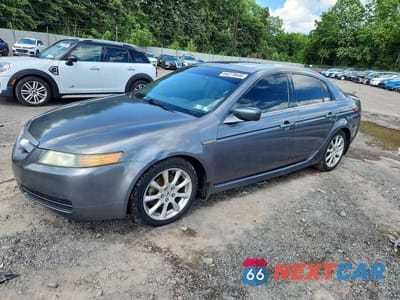 2004 ACURA TL 19UUA66224A040060 - główne zdjęcie licytacji z USA - miniatura
