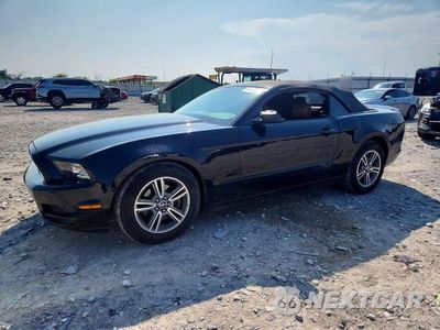 2013 FORD MUSTANG 1ZVBP8EM3D5202707 - główne zdjęcie licytacji z USA - miniatura
