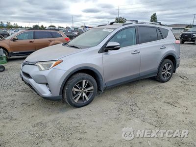 2016 TOYOTA RAV4 XLE 2T3RFREV0GW526911 - główne zdjęcie licytacji z USA - miniatura