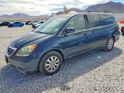 2010 HONDA ODYSSEY EXL 5FNRL3H63AB036390 - główne zdjęcie licytacji z USA - miniatura