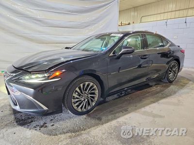 2025 LEXUS ES 350 ULTRA LUXURY 58AFZ1B14SU209611 - główne zdjęcie licytacji z USA - miniatura