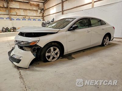 2023 CHEVROLET MALIBU LS 1G1ZC5ST8PF113553 - główne zdjęcie licytacji z USA - miniatura