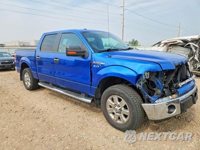 Czwarte zdjęcie samochodu z boku: 2013 FORD F150 SUPERCREW VIN:1FTFW1EF0DKE17768 - miniatura