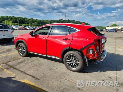 Drugie zdjęcie samochodu z przodu: 2024 LEXUS NX 250 PREMIUM VIN:2T2GDCAZ9RC010929 - miniatura