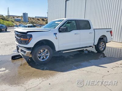 2025 FORD F150 XLT 1FTFW3L82SKE30065 - główne zdjęcie licytacji z USA - miniatura
