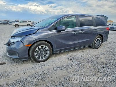 2022 HONDA ODYSSEY EXL 5FNRL6H76NB034102 - główne zdjęcie licytacji z USA - miniatura