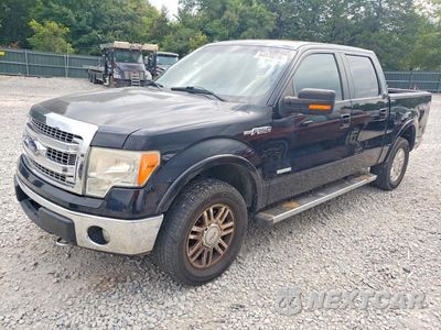 2013 FORD F150 SUPERCREW 1FTFW1ET2DFB08205 - główne zdjęcie licytacji z USA - miniatura