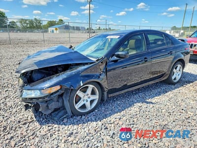 2005 ACURA TL 19UUA66275A014443 - główne zdjęcie licytacji z USA - miniatura