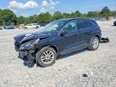 2021 FORD ESCAPE SE 1FMCU0G60MUA04541 - główne zdjęcie licytacji z USA - miniatura