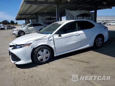 2019 TOYOTA CAMRY LE 4T1B31HK1KU509758 - główne zdjęcie licytacji z USA - miniatura