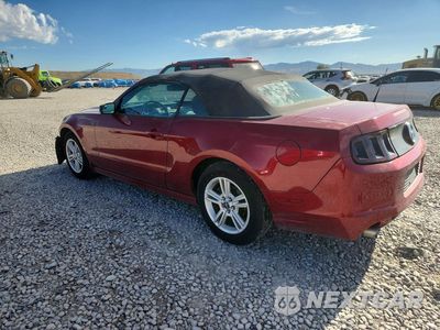 Drugie zdjęcie samochodu z przodu: 2014 FORD MUSTANG VIN:1ZVBP8EM6E5211077 - miniatura