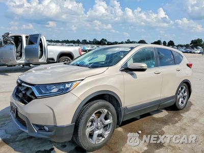 2019 HONDA CR-V EXL 2HKRW1H87KH501639 - główne zdjęcie licytacji z USA - miniatura