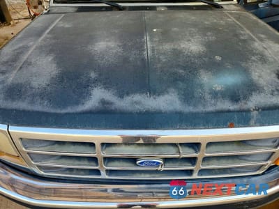 Zdjęcie 11 z 12 samochodu: 1995 FORD F150 VIN:1FTEF15NXSLB58099 - miniatura