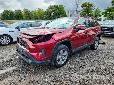 2025 TOYOTA RAV4 XLE 2T3P1RFV9SW558771 - główne zdjęcie licytacji z USA - miniatura