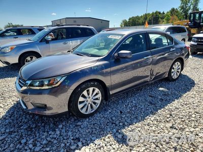 2015 HONDA ACCORD EXL 1HGCR2F8XFA199090 - główne zdjęcie licytacji z USA - miniatura