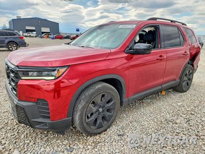 2026 HONDA PILOT BLACK EDITION 5FNYG1H90TB023145 - główne zdjęcie licytacji z USA - miniatura