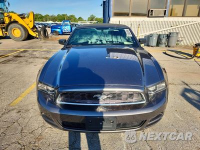 Piąte zdjęcie samochodu w środku: 2014 FORD MUSTANG VIN:1ZVBP8EM9E5219996 - miniatura