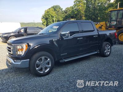2023 FORD F150 SUPERCREW 1FTFW1ED7PFA60567 - główne zdjęcie licytacji z USA - miniatura