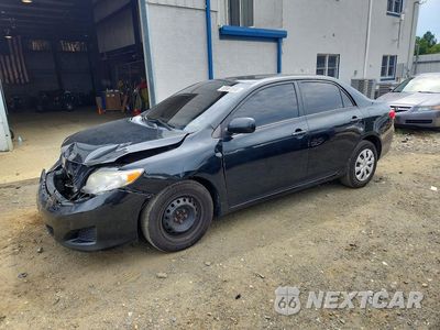 2010 TOYOTA COROLLA LE 1NXBU4EE0AZ338013 - główne zdjęcie licytacji z USA - miniatura