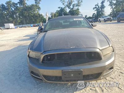Piąte zdjęcie samochodu w środku: 2014 FORD MUSTANG VIN:1ZVBP8EM7E5231869 - miniatura