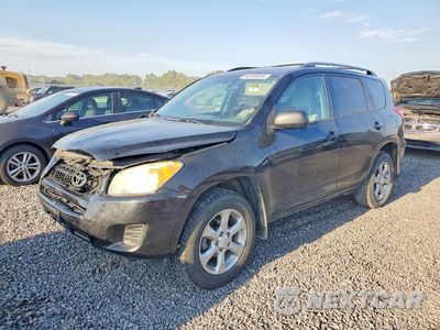 2012 TOYOTA RAV4 BASE 2T3BF4DV4CW218267 - główne zdjęcie licytacji z USA - miniatura
