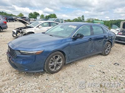 2024 HONDA ACCORD EX 1HGCY1F31RA084657 - główne zdjęcie licytacji z USA - miniatura