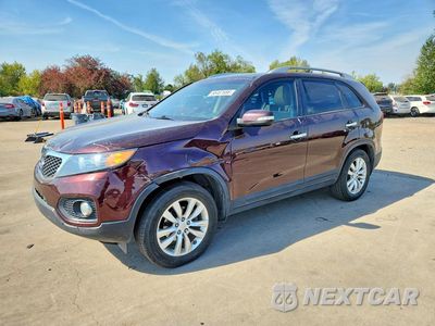2011 KIA SORENTO EX 5XYKU4A22BG071329 - główne zdjęcie licytacji z USA - miniatura