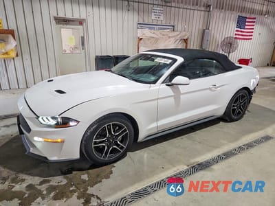 2021 FORD MUSTANG 1FATP8UH5M5125078 - główne zdjęcie licytacji z USA - miniatura